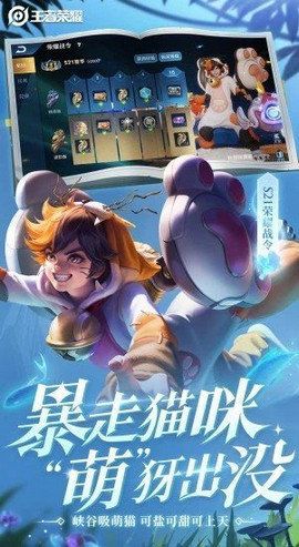 王者荣耀永久免费开挂神器安卓试试吧！！