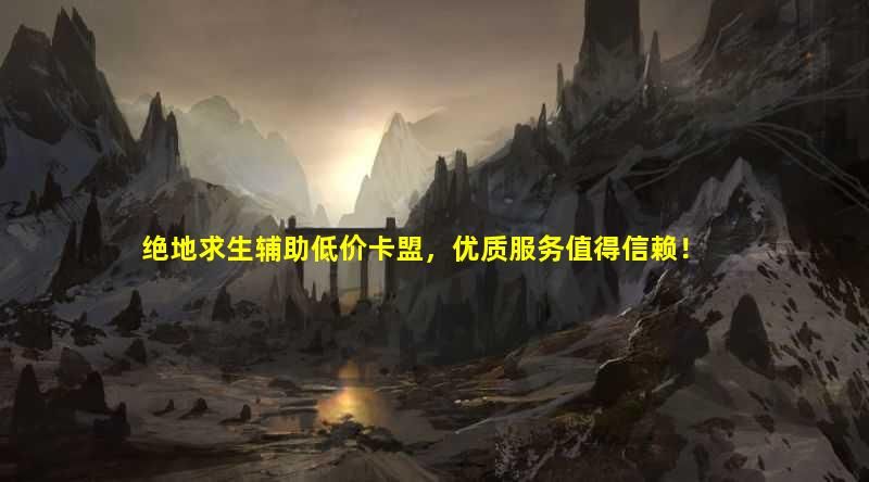 绝地求生辅助低价卡盟值得信赖的游戏辅助平台试试