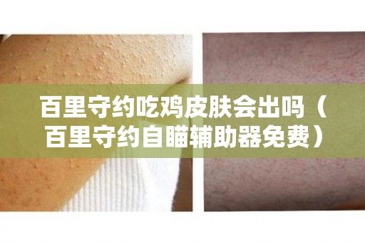 王者荣耀百里守约吃鸡皮肤会出吗，免费相关题