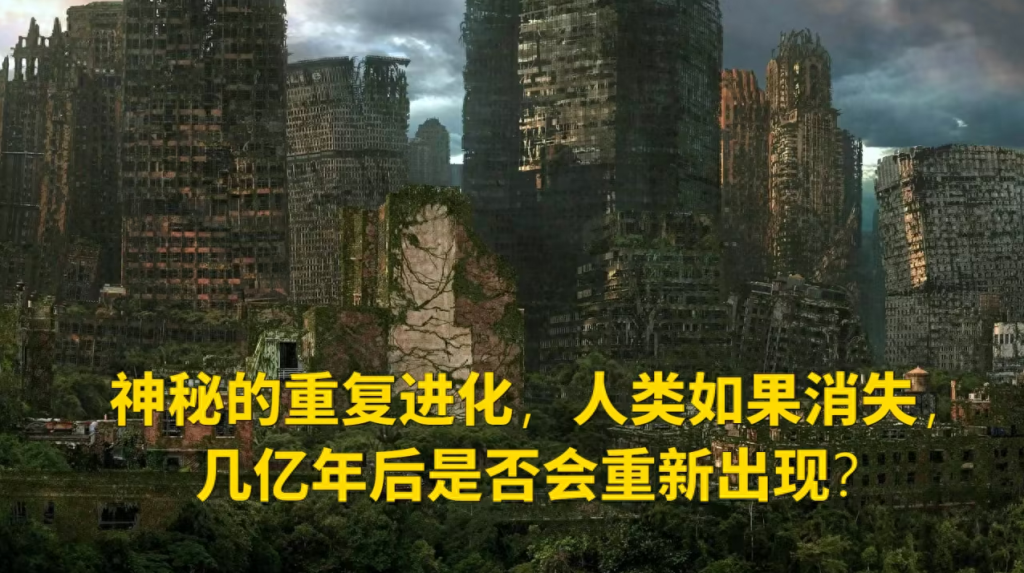 再也不会有人类进化的可能性吗？
