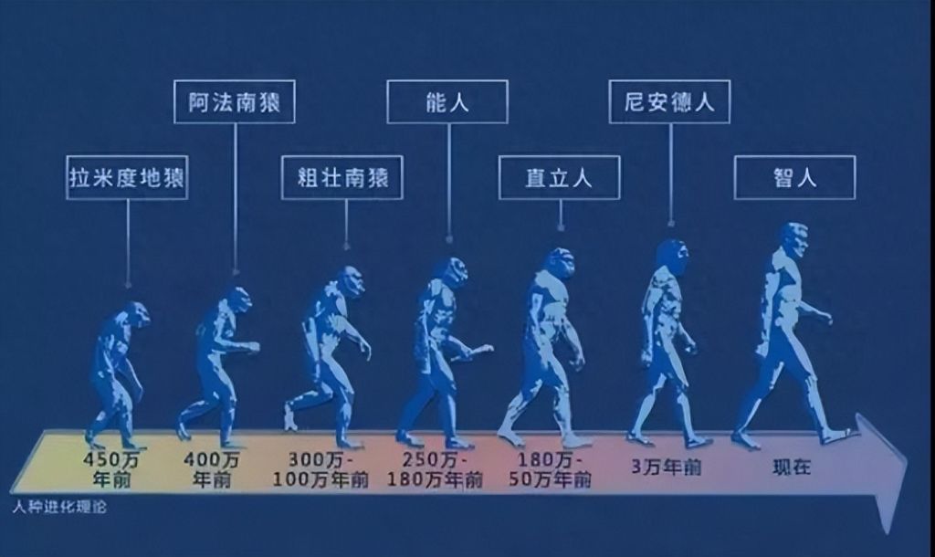 再也不会有人类进化的可能性吗？