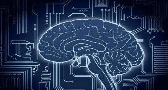 人类智商达到500会怎样人的智商越高吗？