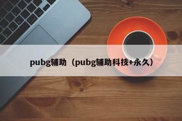 pubg辅助科技+永久对应的知识点，不要忘了收藏本站