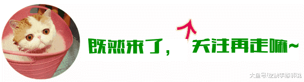 死法和各种逆天的外挂，你见过吗？！