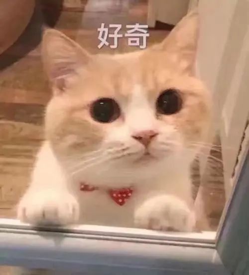 @西西大佬投稿的辅助赋灵能，召唤来点兵