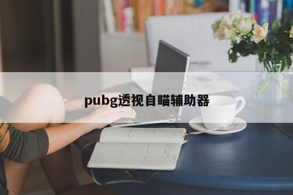 《绝地求生刺激战场有没有游戏助手》APP介绍
