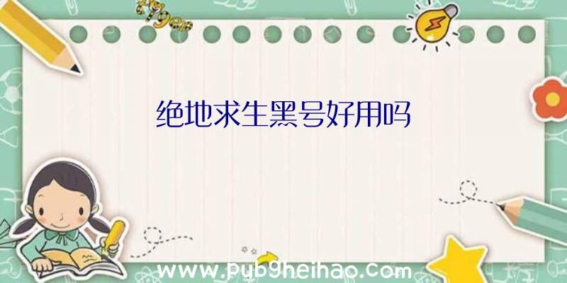 绝地求生黑号到底好用吗？法律风险三个方面分析