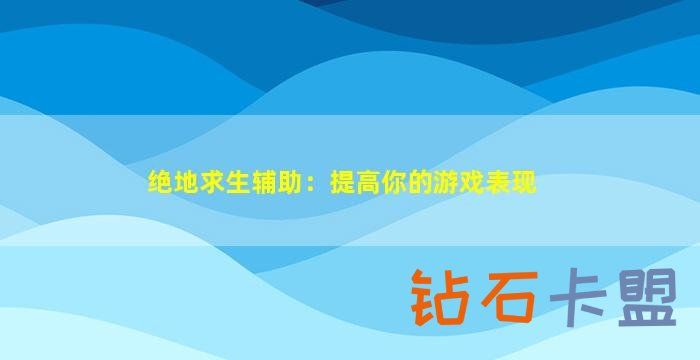 绝地求生辅助技巧4aM国服值得期待的三大理由