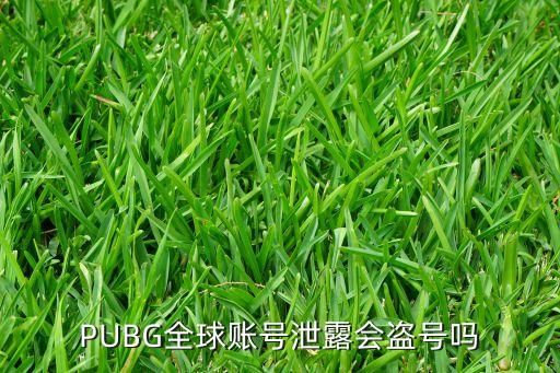 绝地黑号你是什么意思绝地生存如何获得百年生存称号