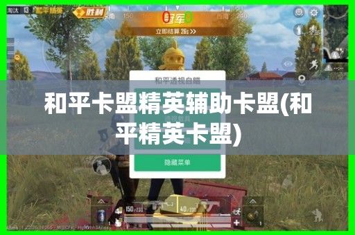 和平卡盟精英辅助卡盟的崛起成为行业的领军者