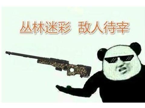 绝地求生辅助 X博士吃鸡周报：17岁黑客自述卖挂经历一周就能