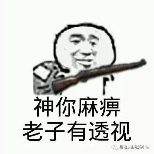 绝地求生：外挂风波、画面质量、卡顿困扰，玩家心声揭秘