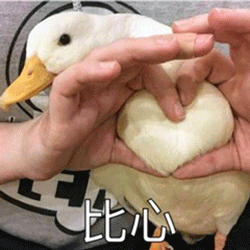 穿越火线免费辅助_穿越火线辅助器(免费)端游_穿越火线辅助器(免费)手游