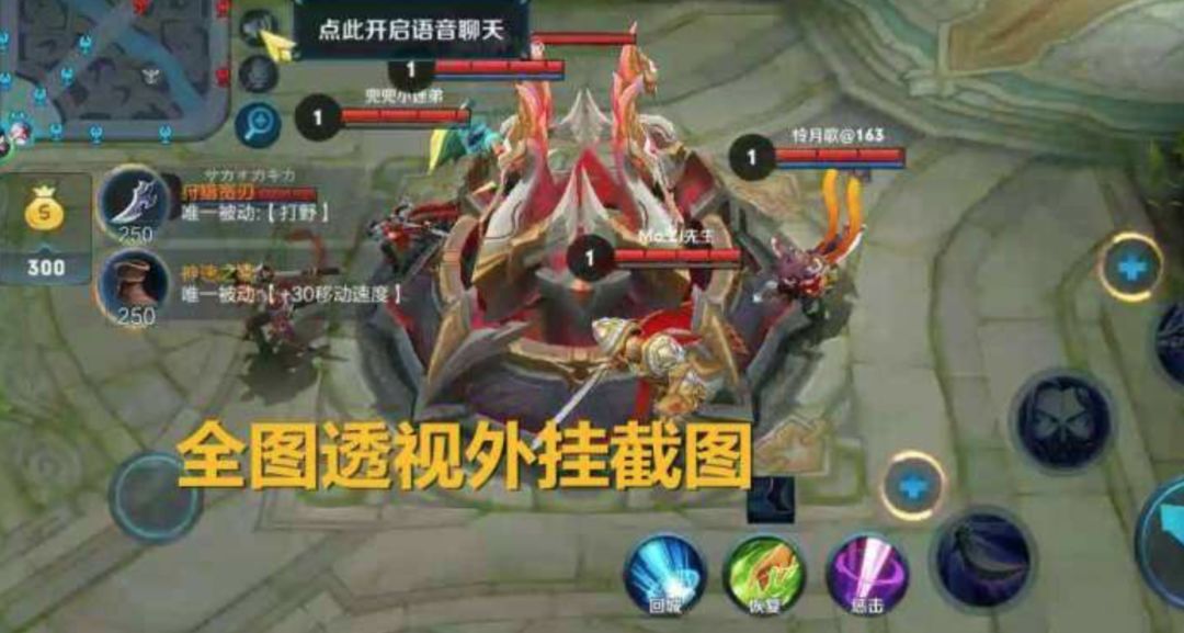 王者荣耀辅助免费皮肤_王者荣耀免费辅助_王者荣耀辅助免费软件