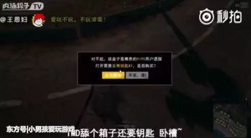 求生绝地辅助免费下载安装_绝地求生免费辅助_绝地求生辅助免费版