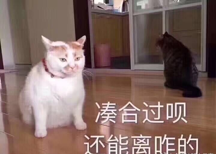 求生透视绝地瞄准怎么调_求生透视绝地瞄准怎么用_绝地求生透视自瞄