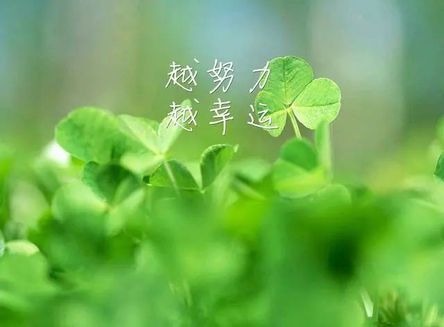 无畏锲约辅助_无畏锲约辅助_无畏装备