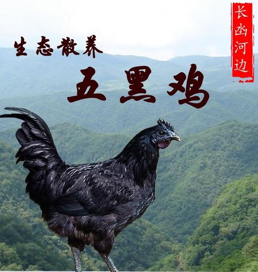 吃鸡黑号卡盟平台_低价吃鸡黑号_吃鸡黑号卡盟
