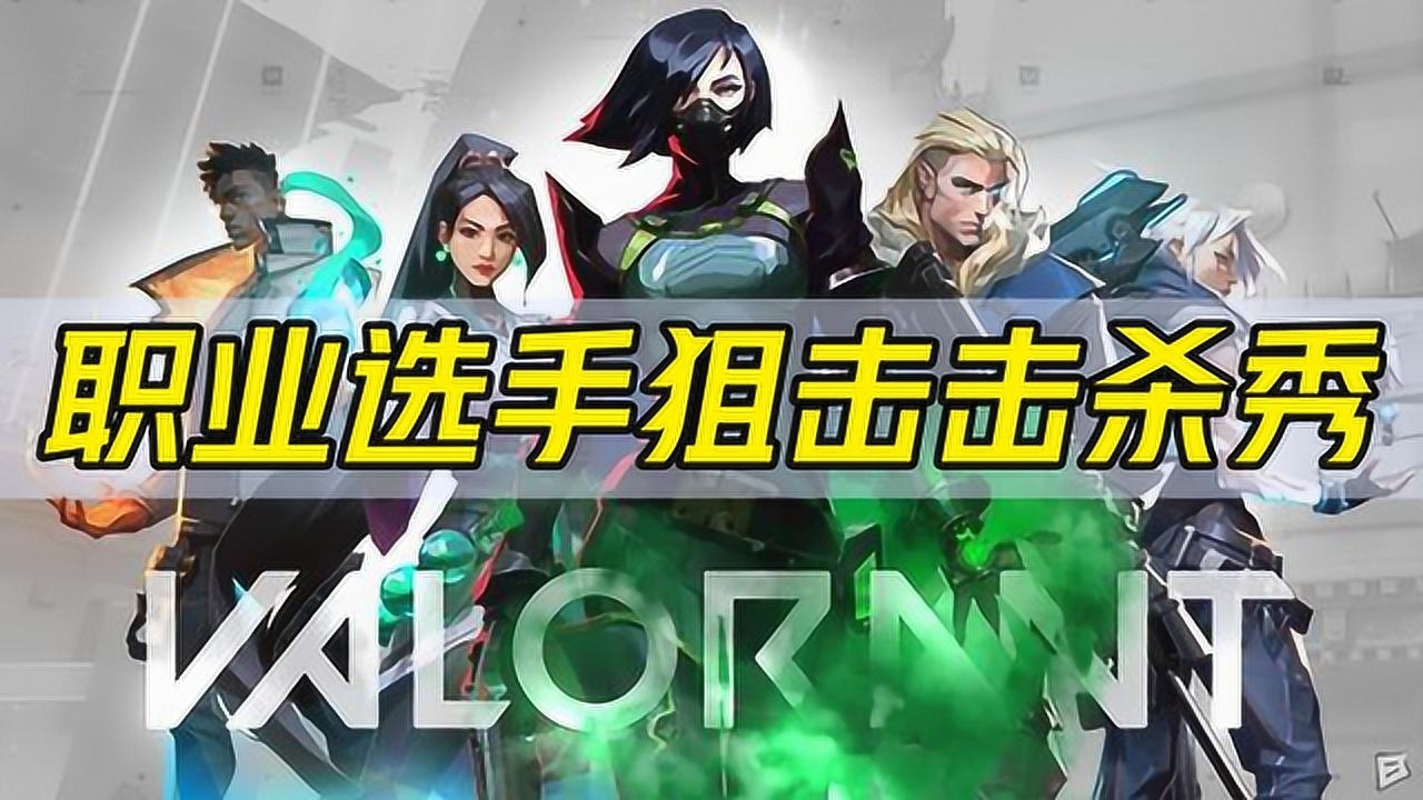 无畏契约充值_无畏契约手游_无畏契约辅助卡网