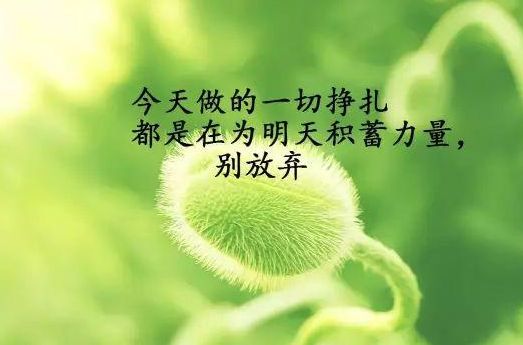 无畏契约卡主界面_无畏契约职业联赛_无畏锲约卡盟