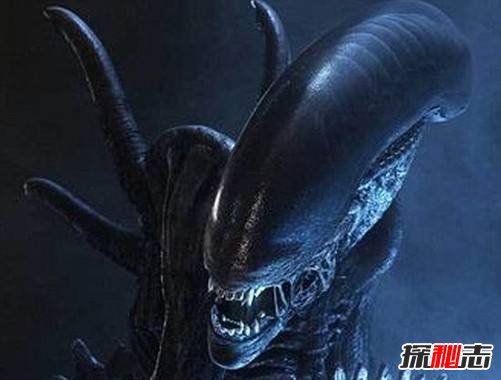 穿越火线辅助卡盟_穿越火线外挂卡盟_穿越火线辅助卡盟平台