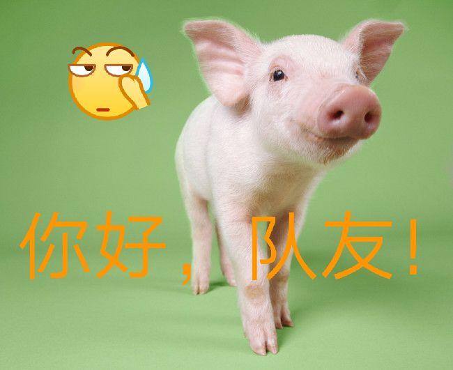 吃鸡黑号_黑鸡吃了对身体有什么影响_黑鸡吃了有什么好处