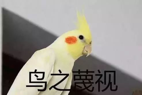 鸡有点黑可以吃吗_吃鸡黑号_黑鸡吃什么食物