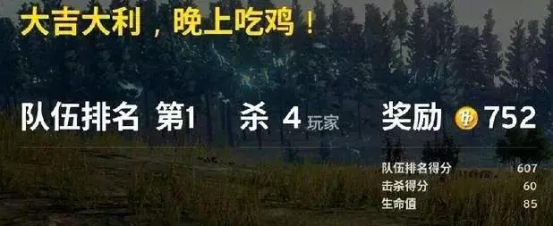 绝地求生辅助官方网站_绝地求生辅助24小时发卡平台_绝地辅助自动发卡平台