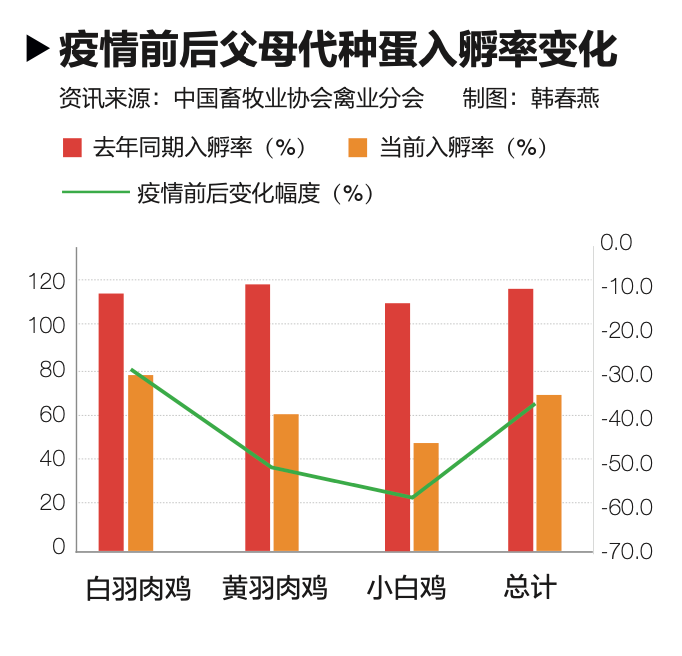 吃鸡黑号_黑鸡吃小鸡_黑鸡吃了对身体有什么影响
