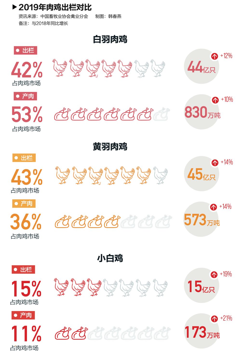 吃鸡黑号_黑鸡吃小鸡_黑鸡吃了对身体有什么影响