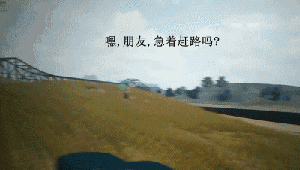 黑鸡吃什么食物_吃鸡黑号_鸡有点黑可以吃吗
