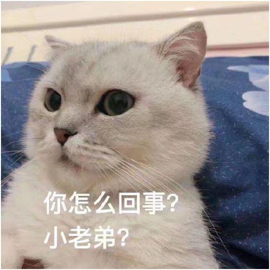 绝地求生免费透视_求生透视绝地免费下载安装_绝地求生透视太多了2021