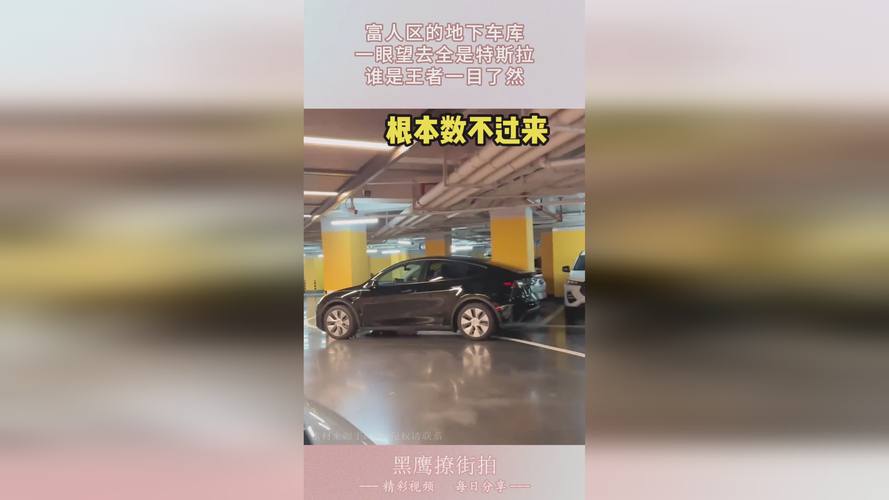 黑鸡吃什么食物_黑鸡吃小鸡_吃鸡黑号
