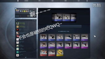 CSGO 5E平台辅助工具揭秘：功能、风险与应对策略