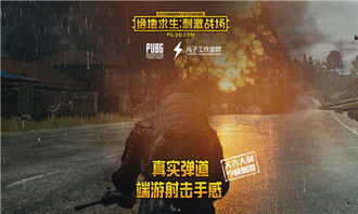 揭秘绝地求生免费辅助：真相与风险并存