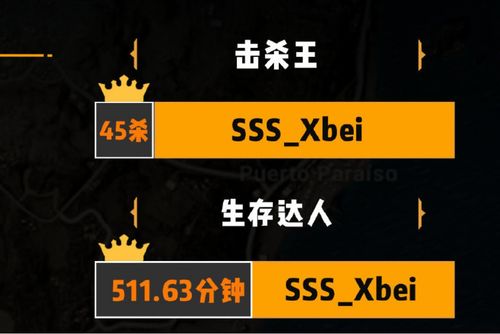 绝地求生卡盟搭建对接全攻略：揭秘盈利新途径