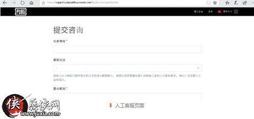 绝地求生辅助yy：揭秘游戏作弊背后的真相