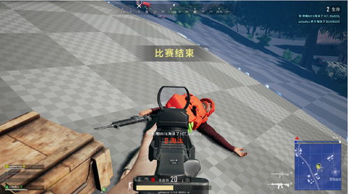 揭秘绝地求生大牛辅助：玩家背后的秘密武器