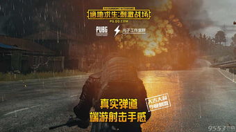 《绝地求生破解辅助：揭秘游戏生态中的暗流涌动》