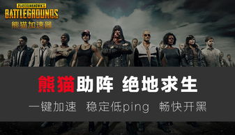 《绝地求生大逃杀：揭秘辅助工具的幕后真相与使用指南》