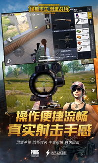 【绝地求生辅助攻略】揭秘哪个辅助工具稳如老狗？揭秘玩家秘籍！