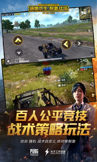 透视辅助器：吃鸡游戏中的“作弊神器”？揭秘其利弊与使用指南