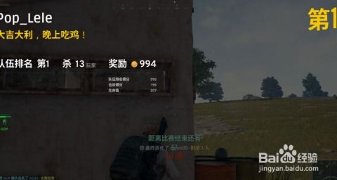 绝地求生PI36辅助揭秘：性能提升还是作弊风险？