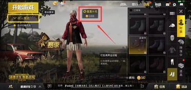 《绝地求生辅助体验卡：揭秘游戏外挂的诱惑与风险》