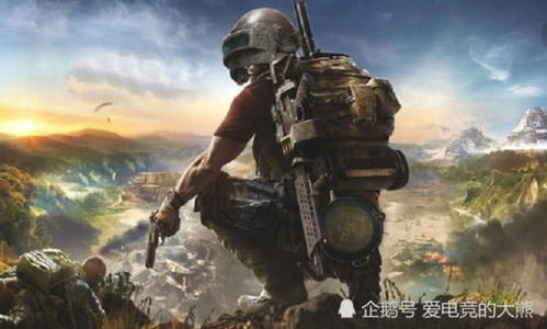 绝地求生低价卡盟批发：市场机遇与风险并存，如何精准布局？