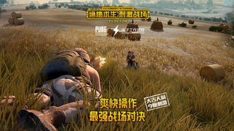 揭秘绝地求生单板透视卡盟：风险与机遇并存，玩家如何规避？