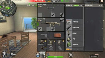 《手游吃鸡辅助购买网站：暗流涌动的灰色地带，你真的了解吗？》