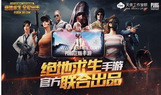 揭秘“吃鸡辅助免费”：真相与风险并存，你敢尝试吗？