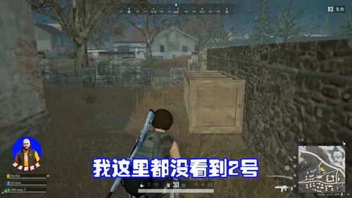 《绝地求生隐身透明辅助：揭秘游戏中的神秘力量，你了解多少？》