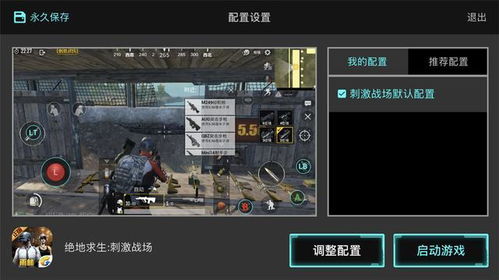 iOS“吃鸡”辅助工具揭秘：是便利还是作弊？揭秘辅助工具的奥秘与风险